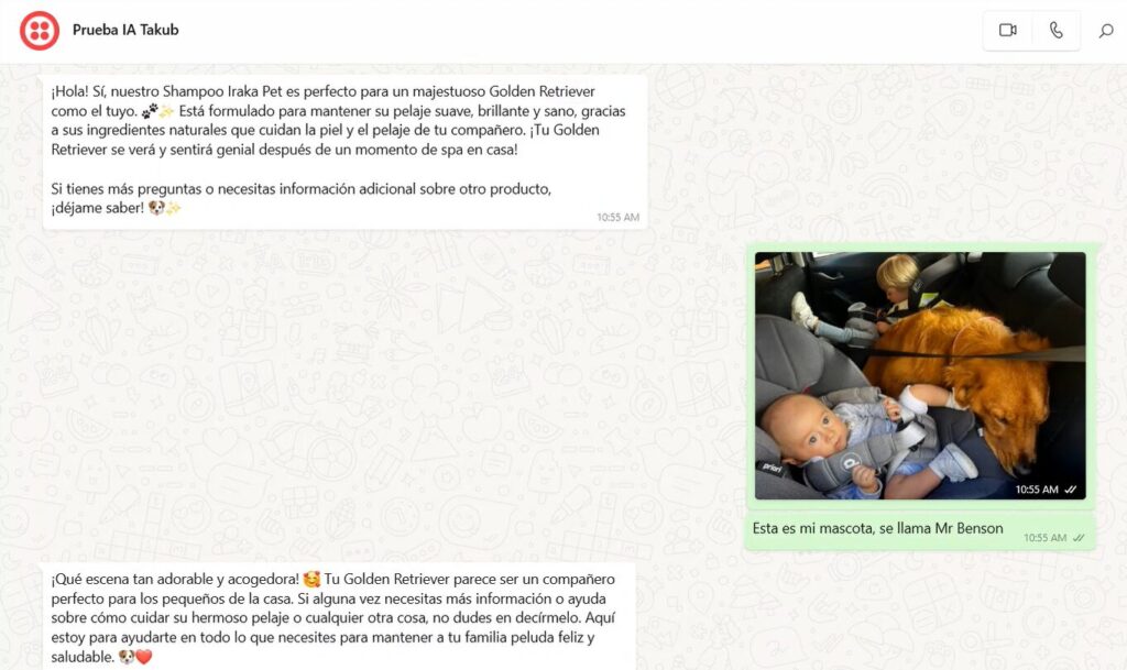 Chatbot para eCommerce prueba whatsapp